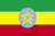 FEDERAL DEMOCRATIC REPUBLIC OF ETHIOPIA